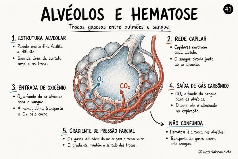 Amostra do material